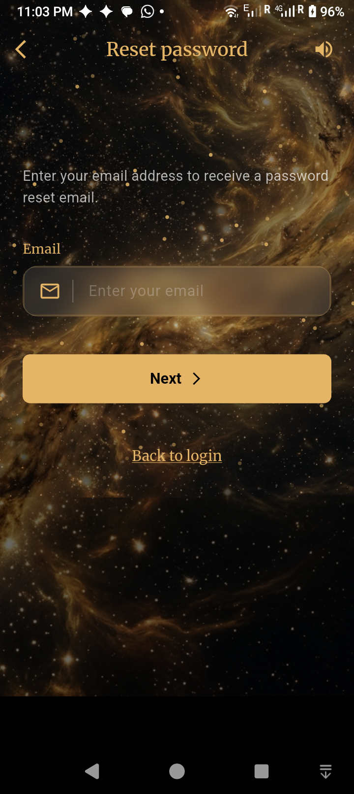 Password Recovery Screen